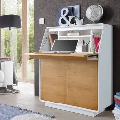 Secrétaire Boge -Meilleur Meubles Magasin 1000027423 190329 07355000001 MOOD GALLERYIMAGES P000000001000027423 mood