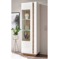 Vitrine Cailla 24 Vitrine Cailla -Meilleur Meubles Magasin 1000223915 200828 15425900065 MOOD DETAILS P000000001000223915 mood