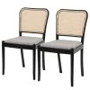 Chaises Cutis (lot De 2)