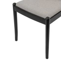 Chaises Cutis (lot De 2) -Meilleur Meubles Magasin 1000273457 220420 055 DETAILS P000000001000273457