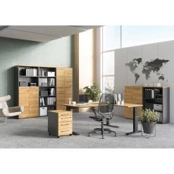 Armoire De Bureau GW-Agenda III 14 Armoire De Bureau GW-Agenda III -Meilleur Meubles Magasin 1000307870 211109 16163900094 MOOD DETAILS P000000001000307870 mood