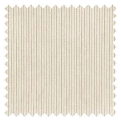 Fauteuil Barnard Velours -Meilleur Meubles Magasin 1000370648 230404 070 DETAILS P000000001000370648